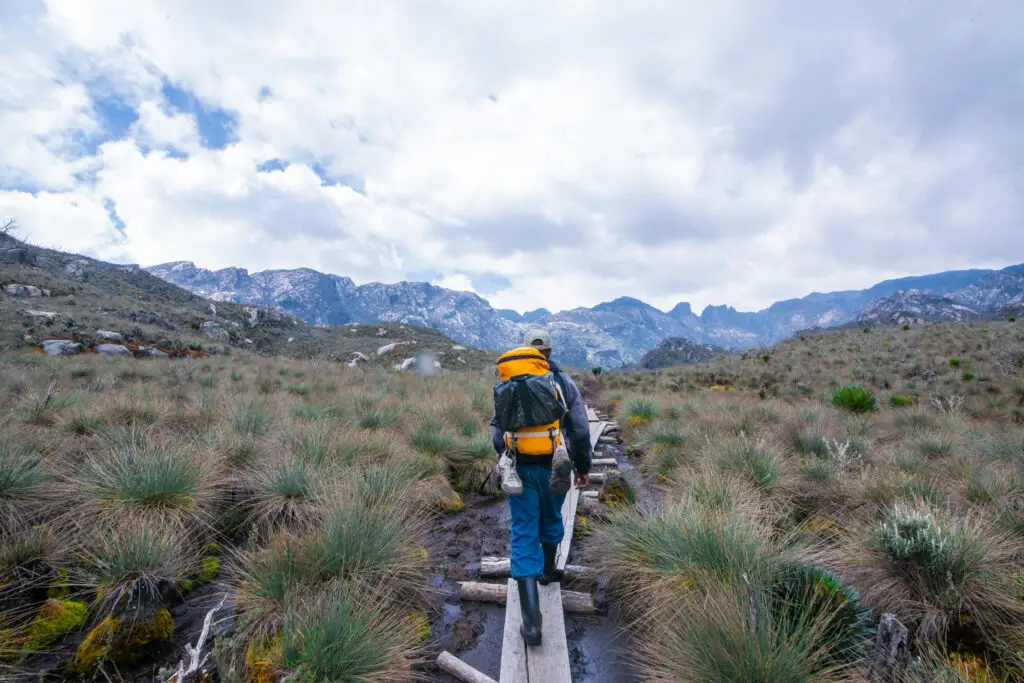 6 Days Rwenzori Trek Weismann Peak
