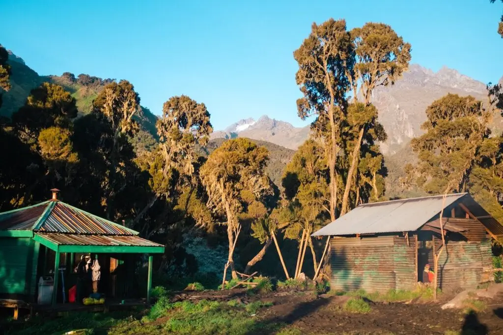 Rwenzori Trekking Safaris: Expert-Led Mountaineering Safaris to the "Mountains of the Moon"
