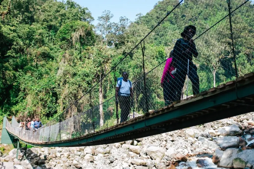 Kurt-Scharffer-bridge