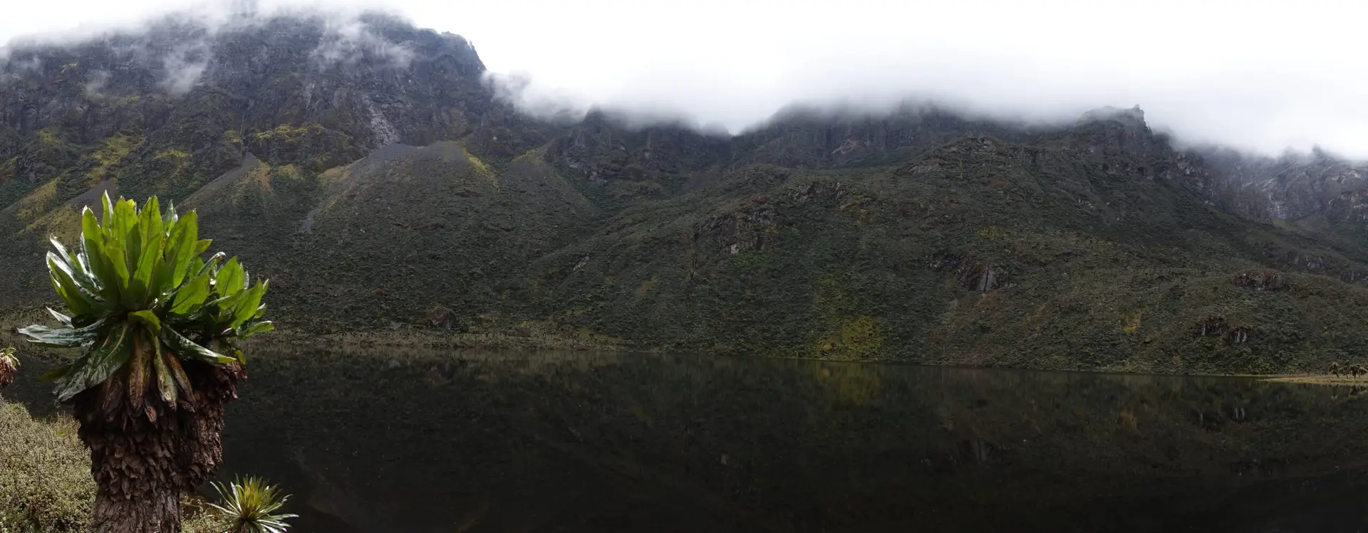 The 6-Day Rwenzori Hike on the Central Circuit Trail