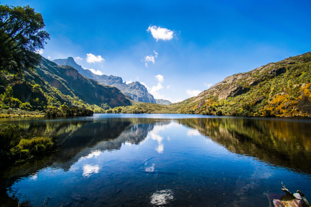 Rwenzori Trekking Safaris | Mountaineering Tours in Uganda