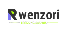 Rwenzori Trekking Safaris | Mountaineering Tours in Uganda