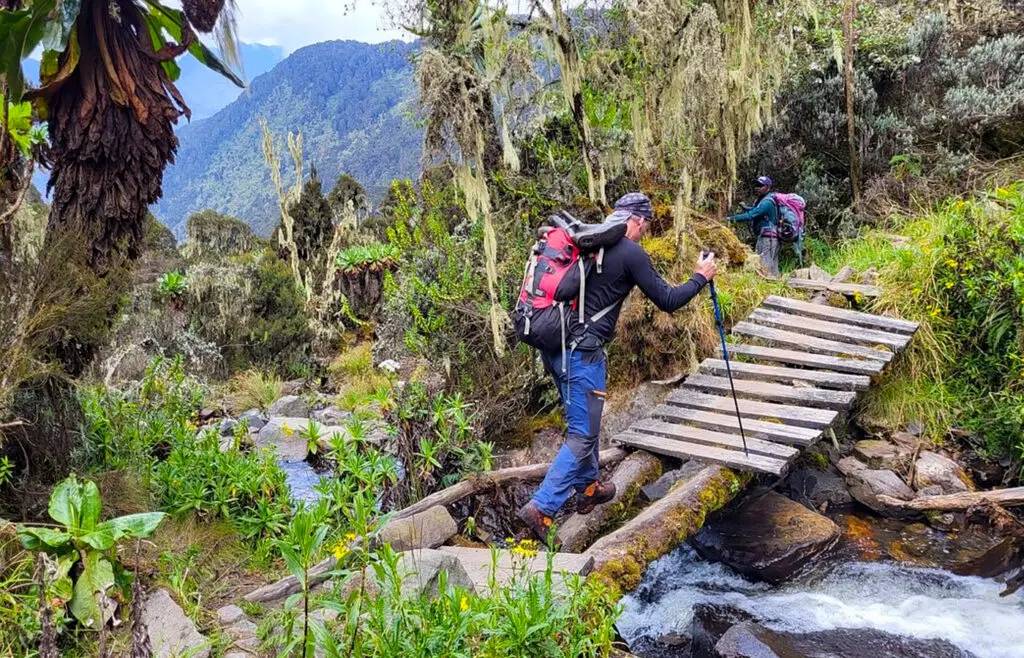 2-Day Rwenzori Hike to Lake Mahoma | Mahoma Loop Trail