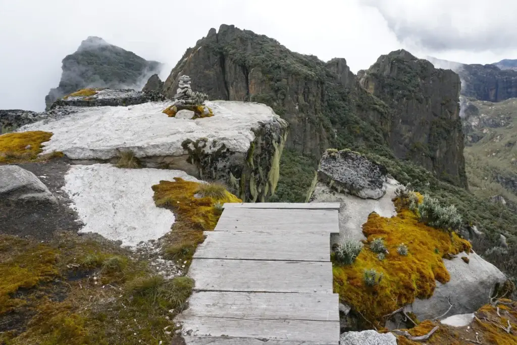 2-Day Rwenzori Trek to Sine Camp | Short Uganda Mountain Hiking Tour