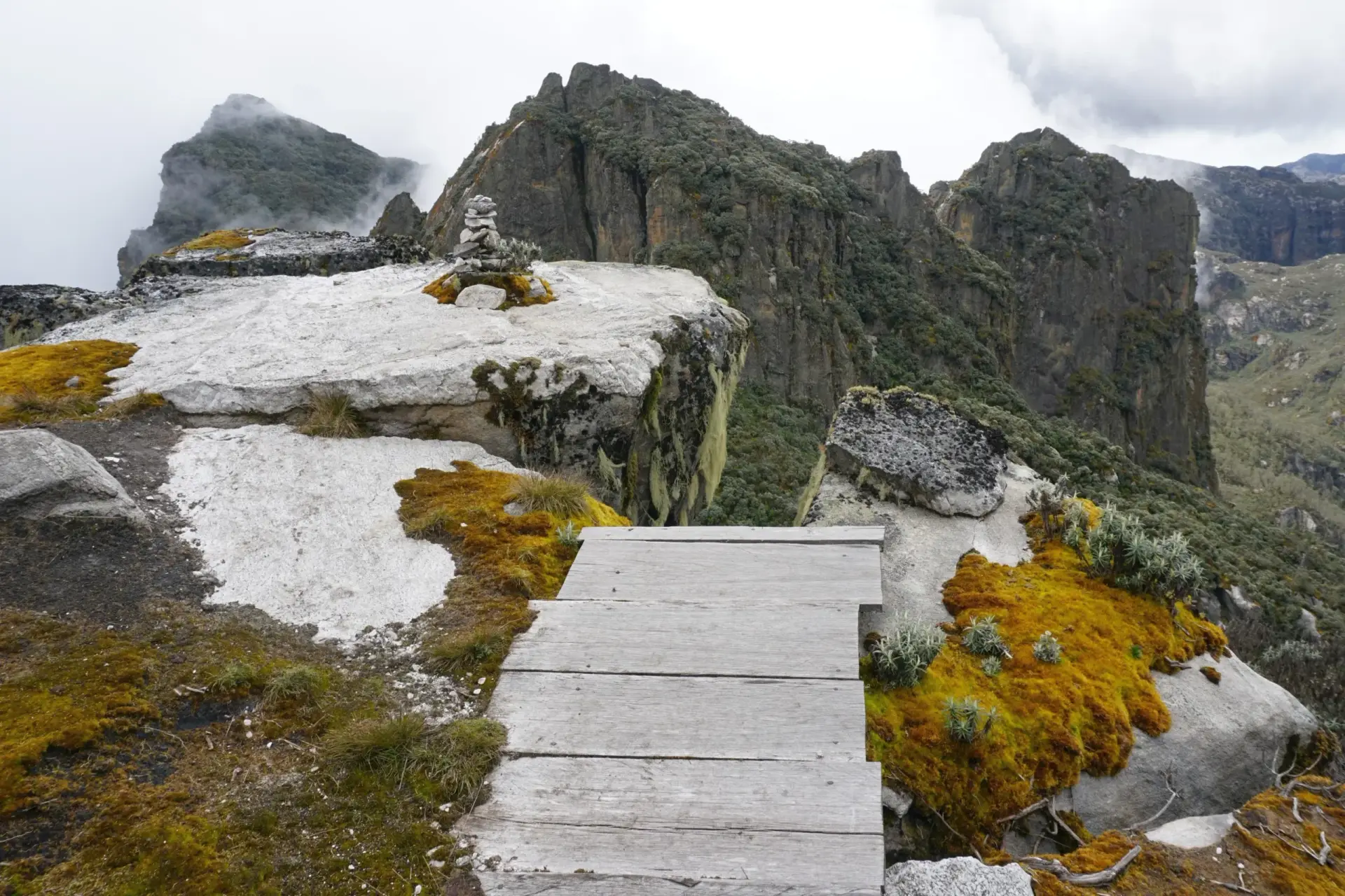 2-Day Rwenzori Trek to Sine Camp | Short Uganda Mountain Hiking Tour