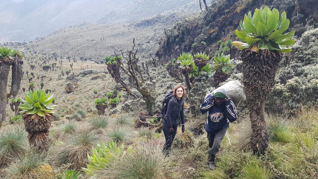 Rwenzori Mountains Climbing Routes & Trails