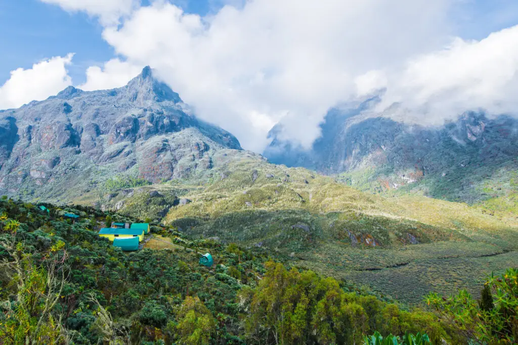 9 -day Rwenzori Trek. Hiking 3 Rwenzori Peaks