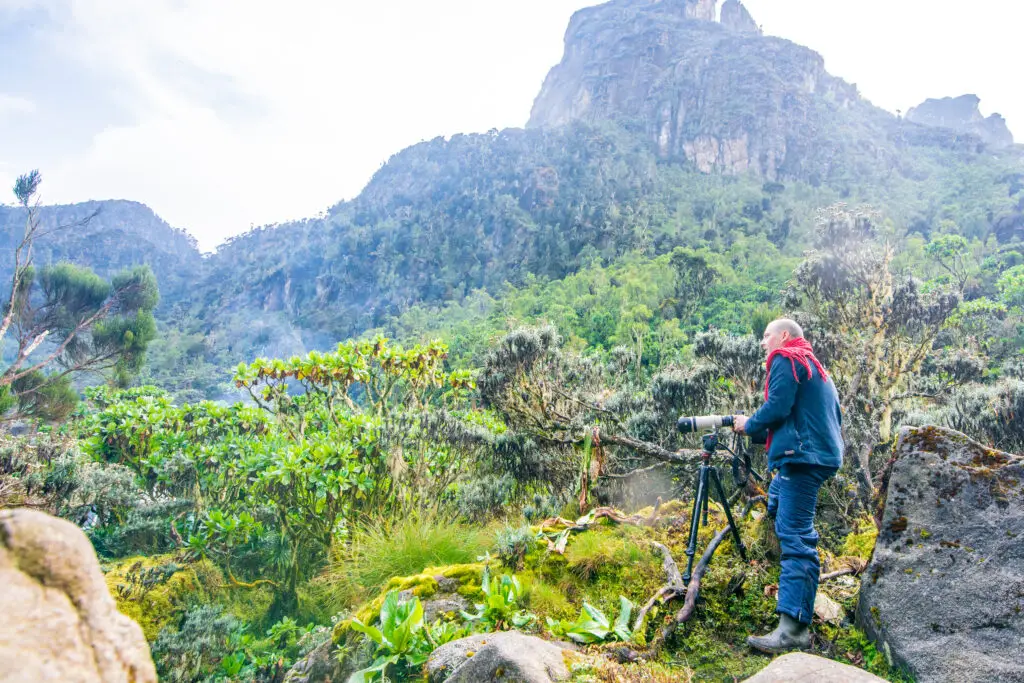 5-Day Rwenzori Trek to Margherita Peak: Climb Uganda’s Highest Peak