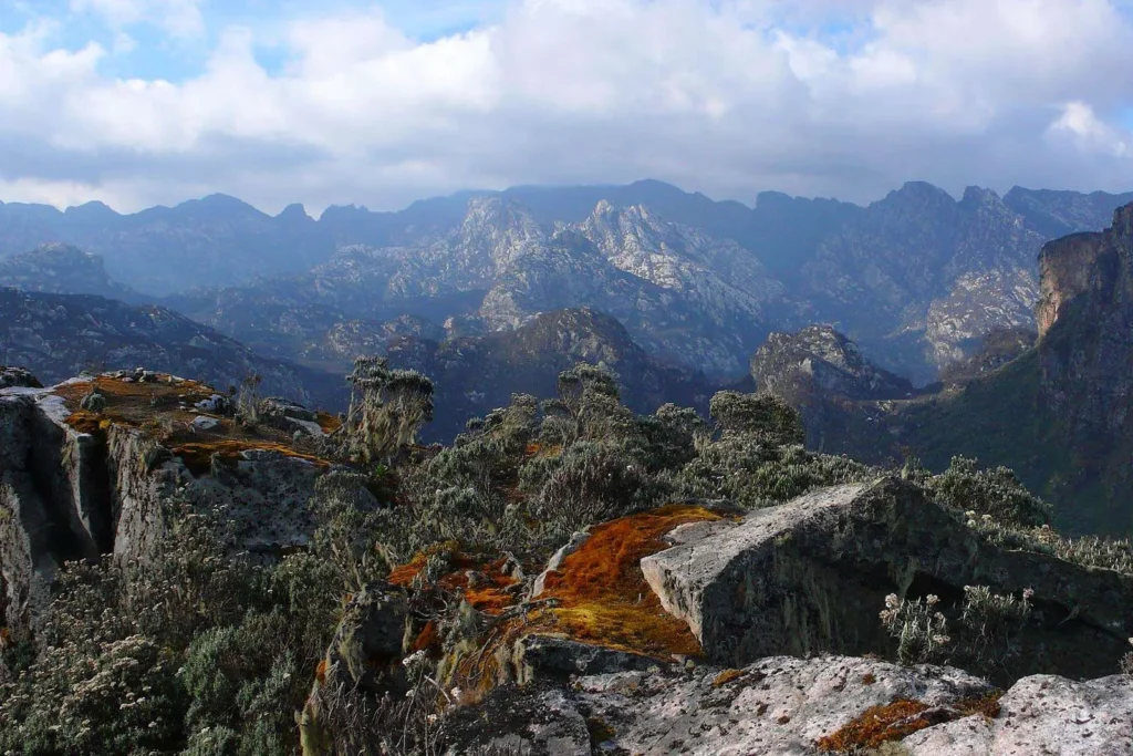 Discover Mount Emin: A 7-Day Rwenzori Trekking