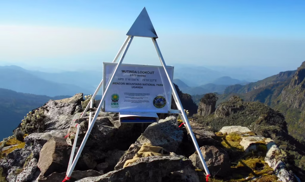 4 Days Rwenzori Trek to Mutinda Lookout via Kilembe Trail