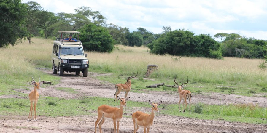 2 Days Lake Mburo National Park
