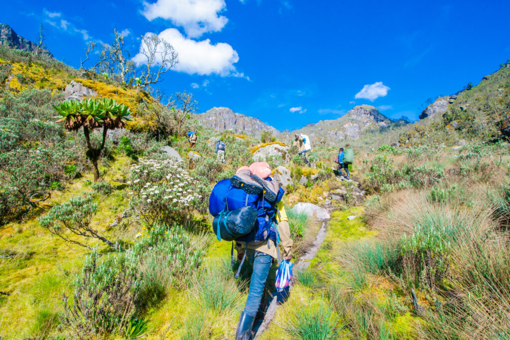 10-Day Rwenzori Trek 4 Peaks Expedition via Kilembe Trail 