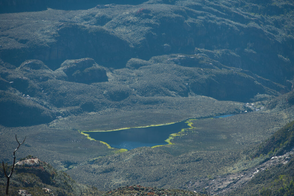 10 Days Rwenzori Trek: Tetra, Bernard, Agart Trek (Central Circuit)