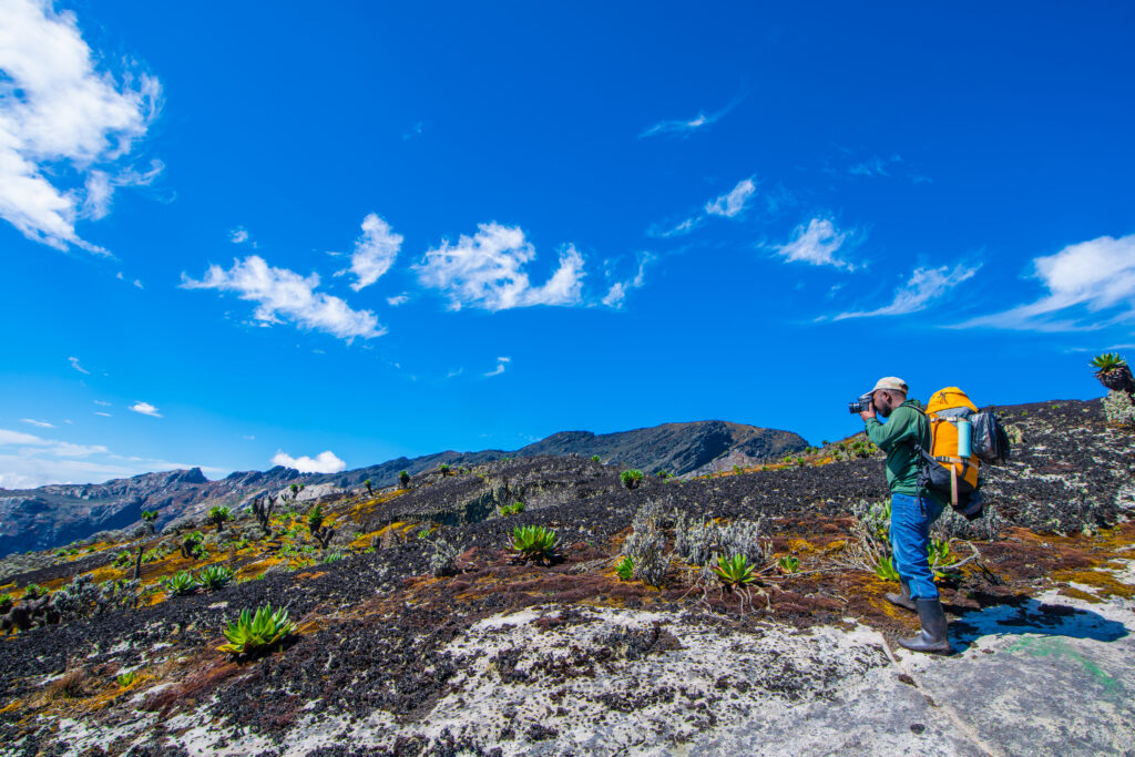 10 Days Rwenzori Trek: Tetra, Bernard, Agart Trek (Central Circuit)