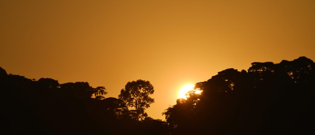 3-Day Bwindi Gorilla Trekking Safari from Kigali | Batwa Culture