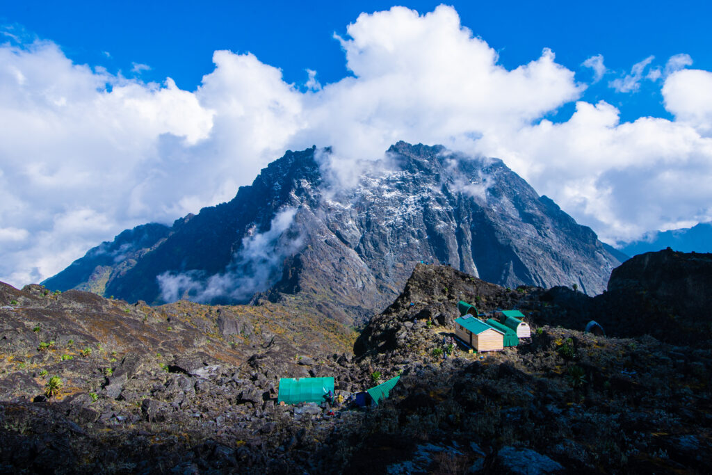 8-Day Rwenzori 3-Peaks Trek: Summit Mount Stanley, Speke & Baker.