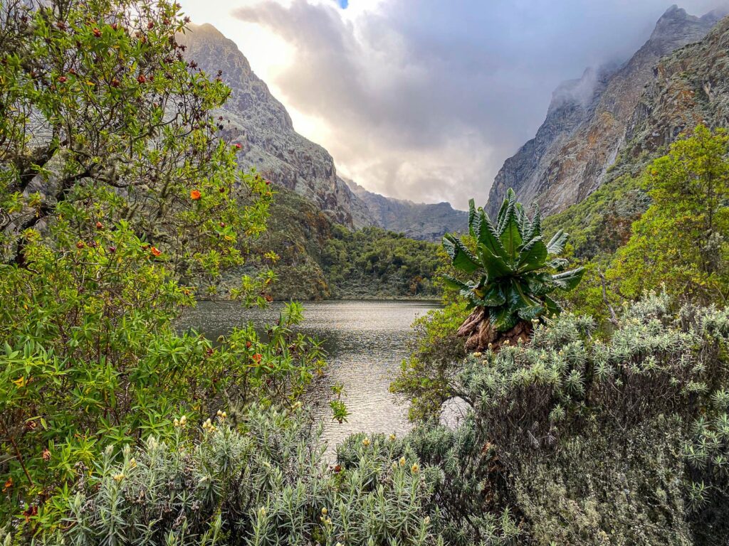 Attractions of the Rwenzori Mountains: Peaks, Wildlife, Lakes & Culture