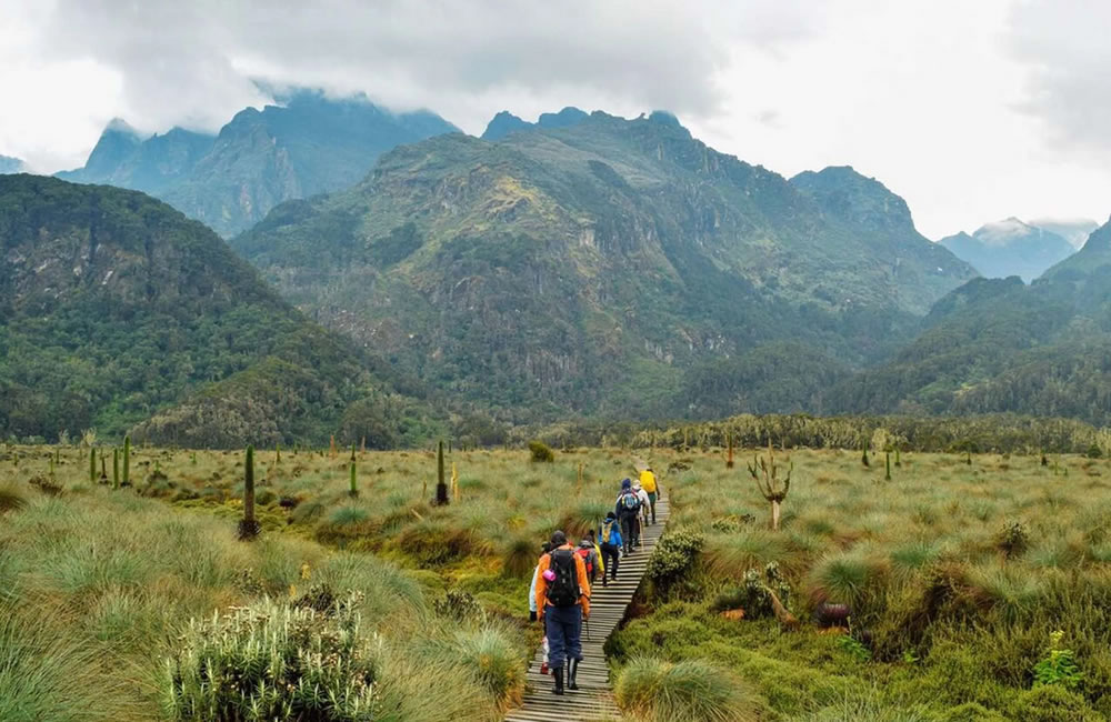 6-Day Rwenzori Portal Peaks Trek for Beginners | Central Circuit