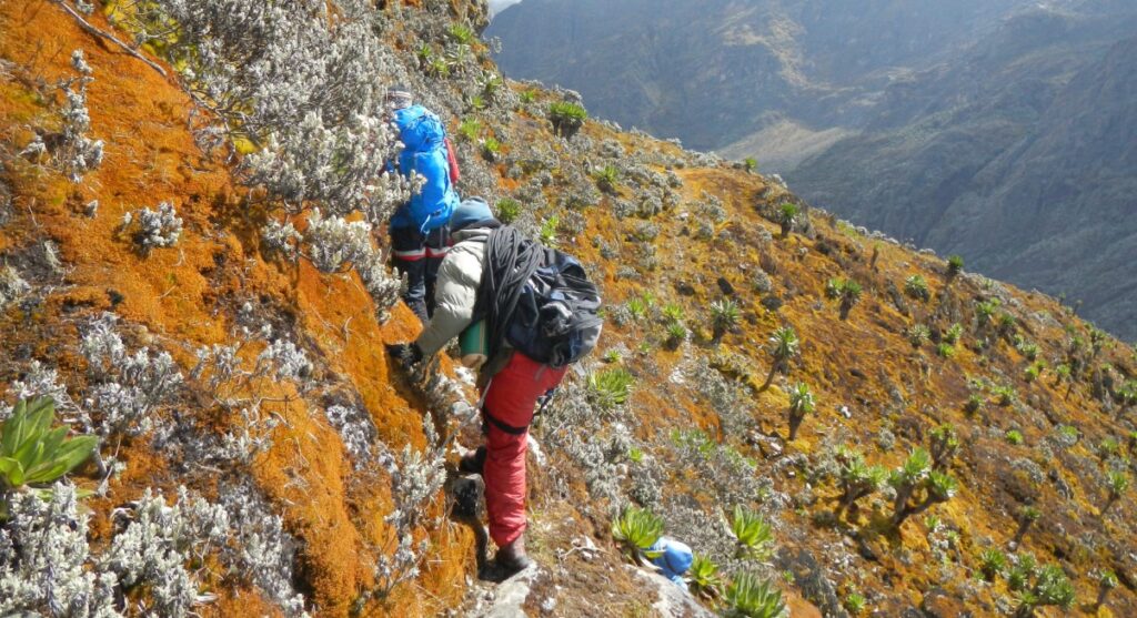 Safety Measures for Hiking the Rwenzori Mountains | Complete Guide