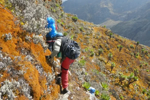 16-Week Training Plan to Prepare for a Rwenzori Trek