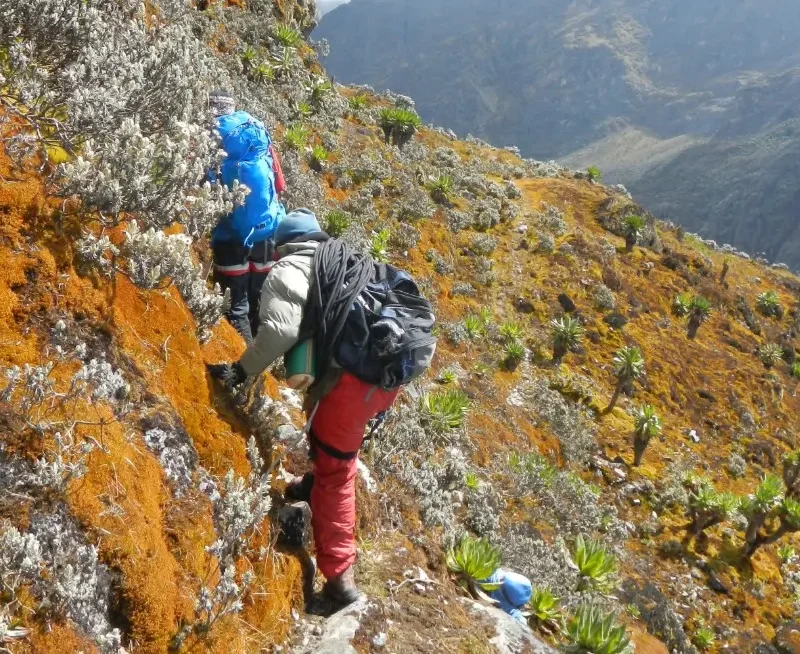 16-Week Training Plan to Prepare for a Rwenzori Trek