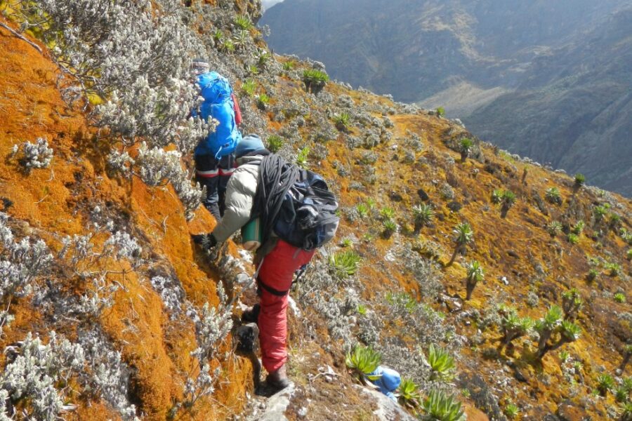 Safety Measures for Hiking the Rwenzori Mountains | Complete Guide