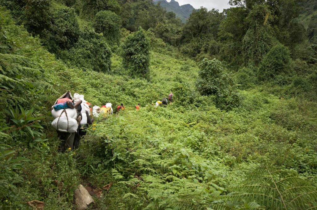 About Rwenzori Trekking Safaris Ltd | Rwenzori Mountain Experts