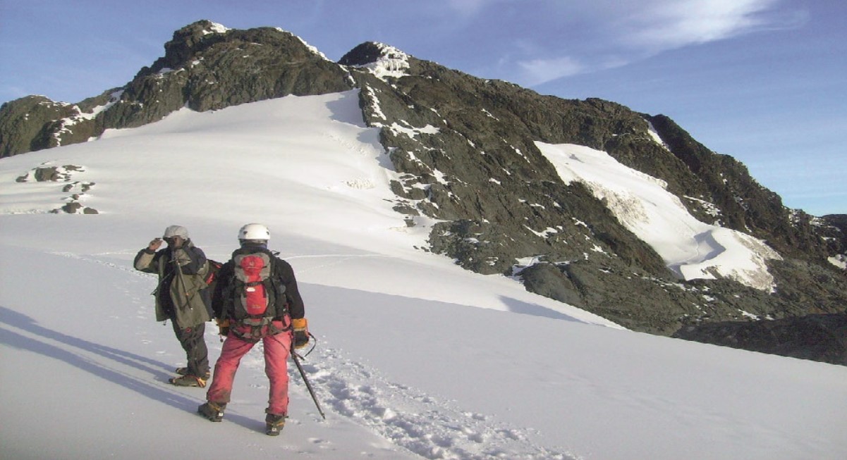 Are There Gorillas in the Rwenzori Mountains? | Rwenzori Wildlife Guide