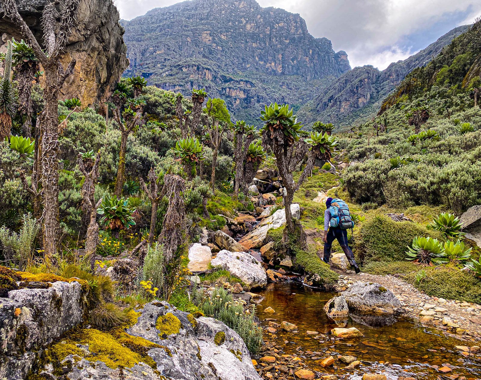 Complete Medical Guide to Trekking the Rwenzori Mountains