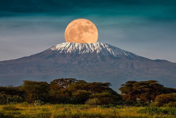 Kilimanjaro Vs Mount Kenya Vs the Rwenzori Mountains: A Scientific, Practical Comparison & Mountaineering Guide.