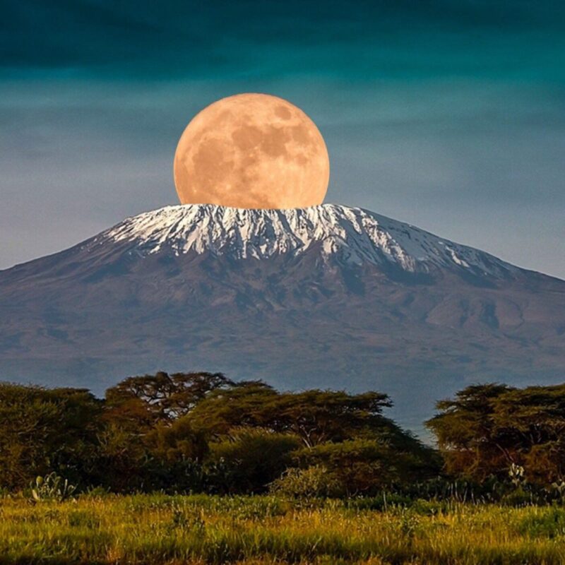 Kilimanjaro Vs Mount Kenya Vs the Rwenzori Mountains: A Scientific, Practical Comparison & Mountaineering Guide.