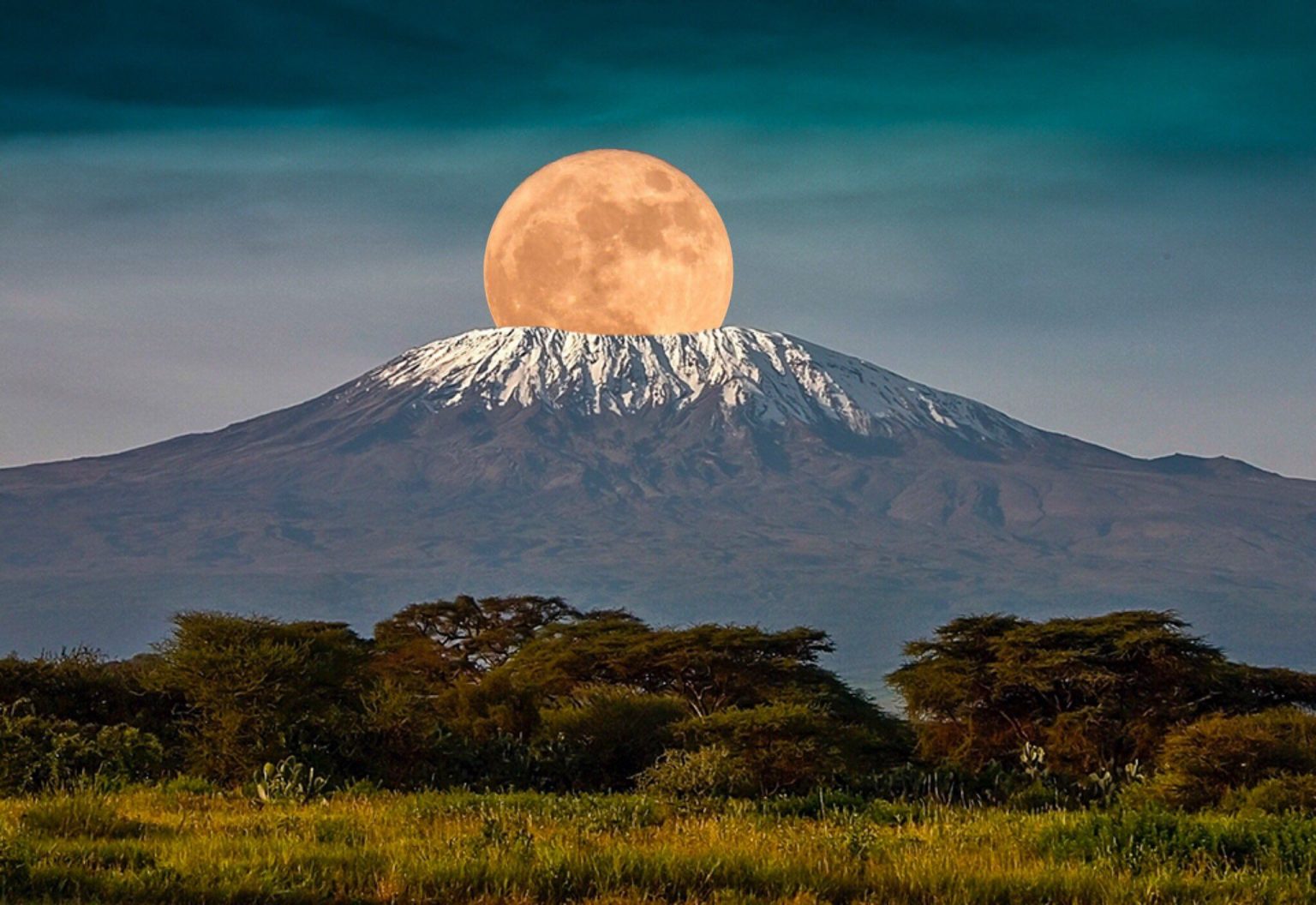 Kilimanjaro Vs Mount Kenya Vs the Rwenzori Mountains: A Scientific, Practical Comparison & Mountaineering Guide.