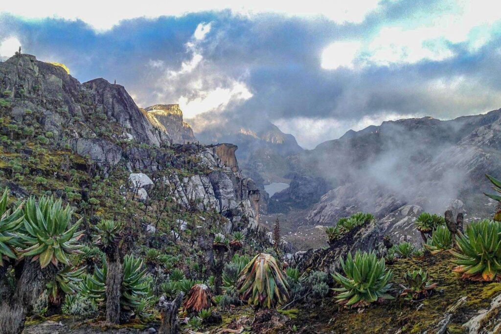 How Much Does It Cost to Climb the Rwenzori Mountains? A Complete Price Breakdown