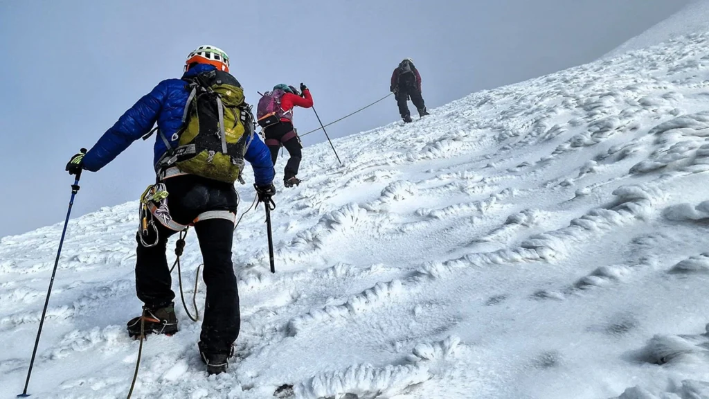 How Hard Is Trekking the Rwenzori Mountains? | Difficulty, Fitness & Reality Guide