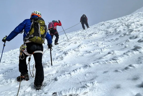 How Hard Is Trekking the Rwenzori Mountains? | Difficulty, Fitness & Reality Guide