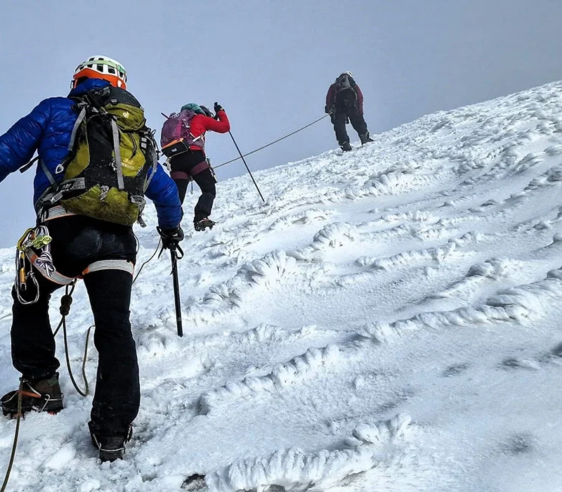 How Hard Is Trekking the Rwenzori Mountains? | Difficulty, Fitness & Reality Guide