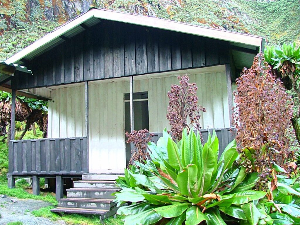 How Long Does It Take to Climb the Rwenzori Mountains?