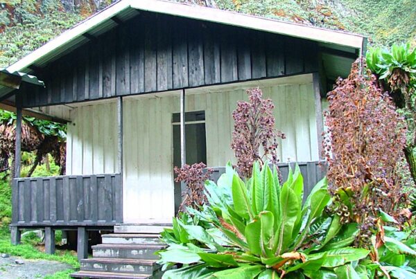 How Long Does It Take to Climb the Rwenzori Mountains?