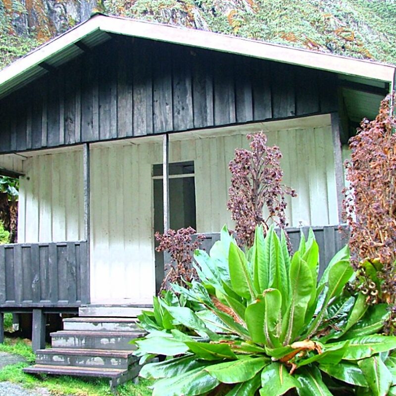 How Long Does It Take to Climb the Rwenzori Mountains?