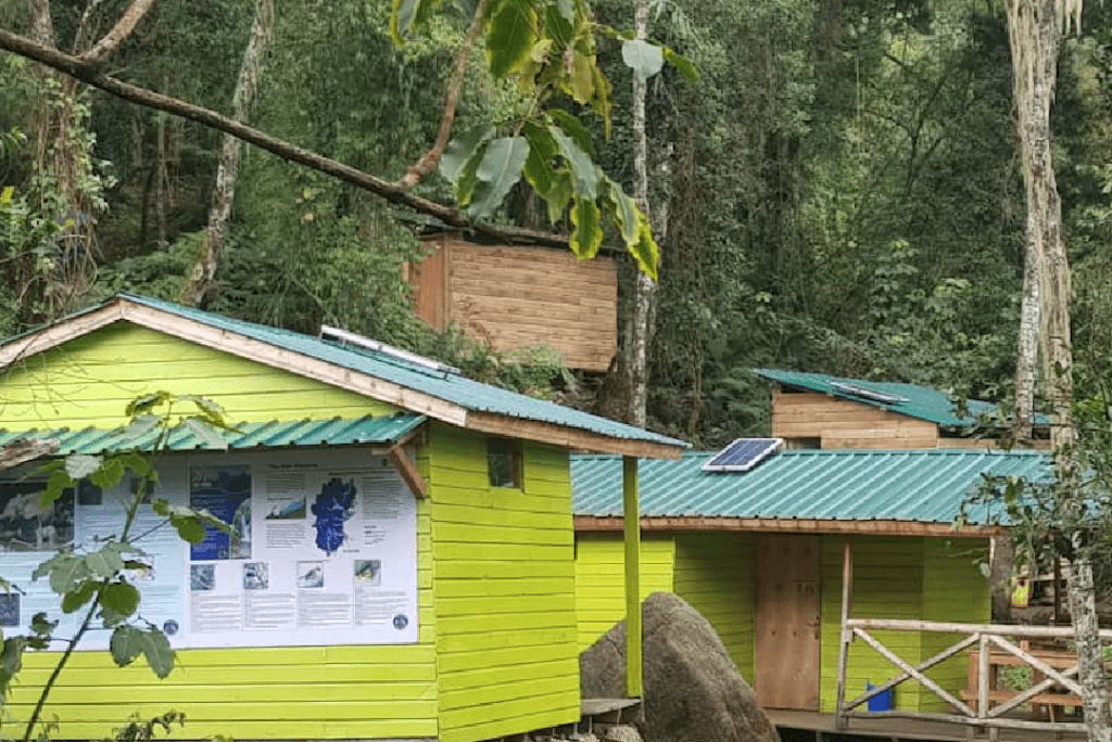 How Long Does It Take to Climb the Rwenzori Mountains? A Complete Trekking Timeline Guide