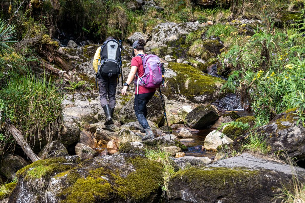 Rwenzori Fitness Guide