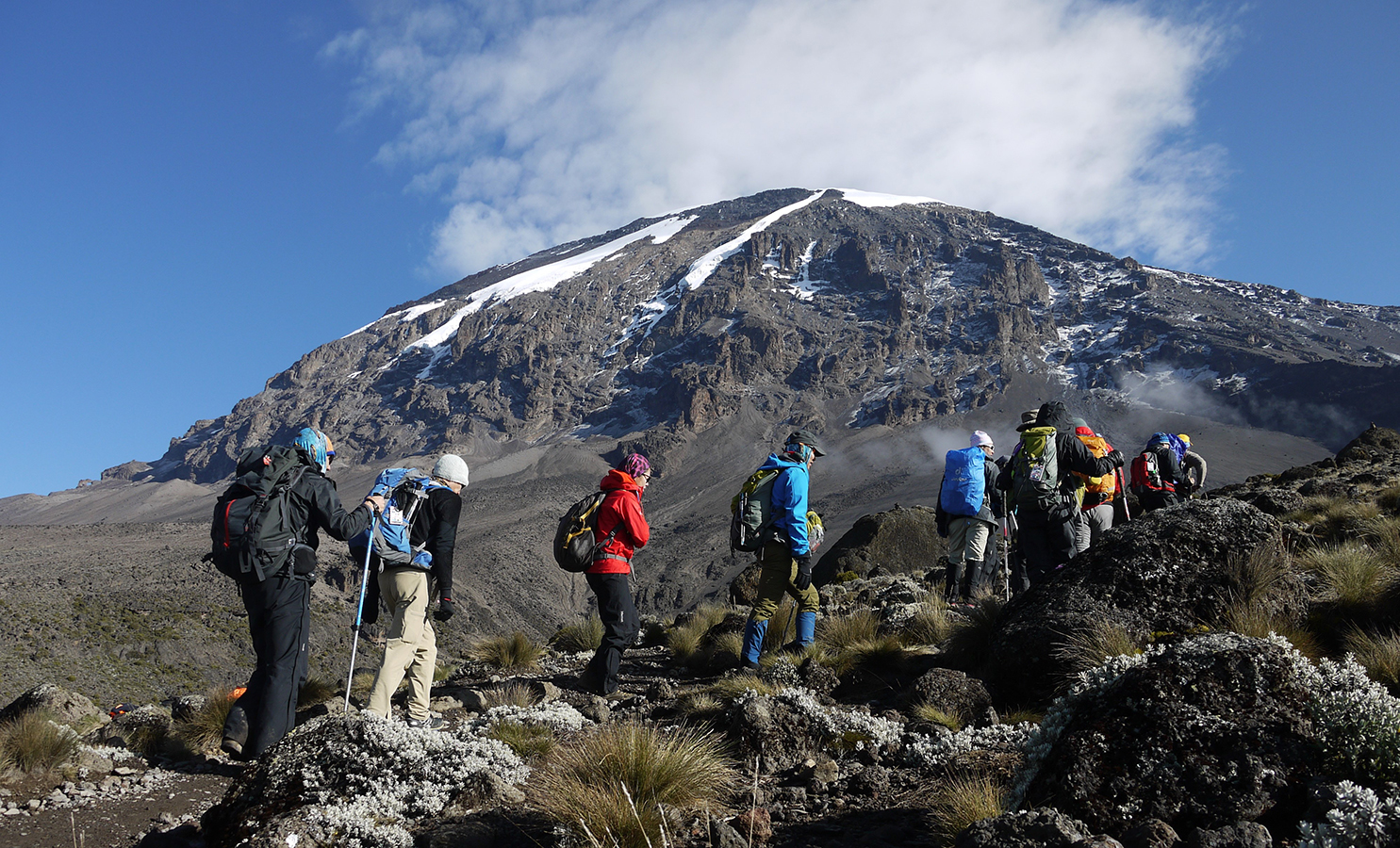 Why the Rwenzori is One of the Last Great Mountain Challenges in Africa 2 Mount Kilimanjaro