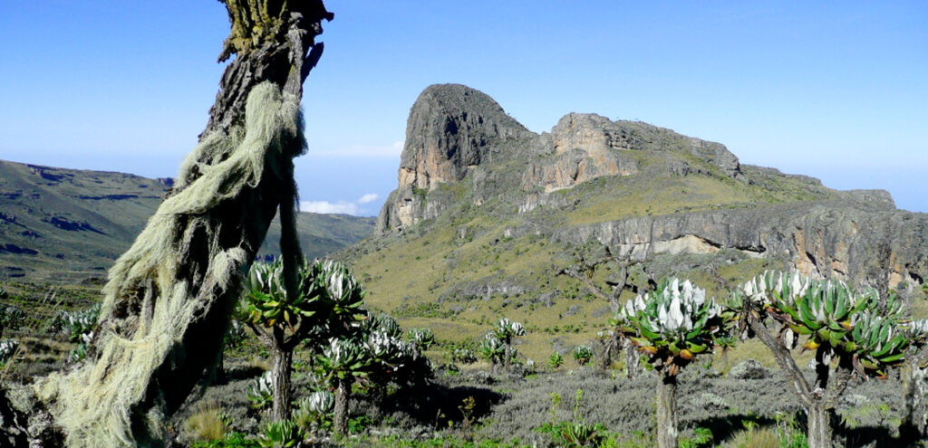 Mount Elgon? Uganda's Mountains Beyond the Rwenzoris