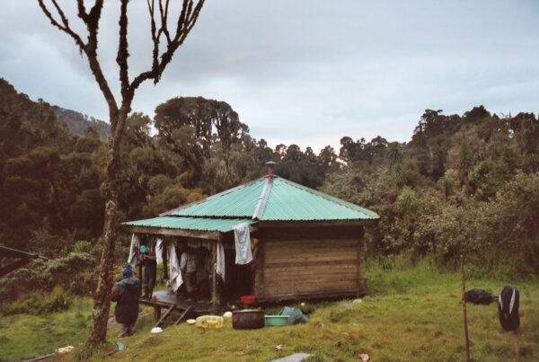 Should I acclimate before Rwenzori? Where and How: Nyabitaba Hut