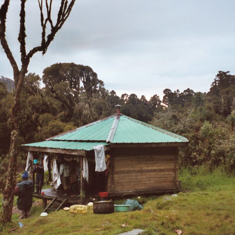 Should I acclimate before Rwenzori? Where and How: Nyabitaba Hut