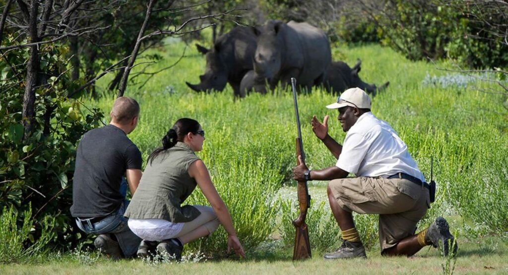 Ziwa Rhino Sanctuary, Uganda: The Ultimate Travel Guide to Uganda’s Only Wild Rhinos