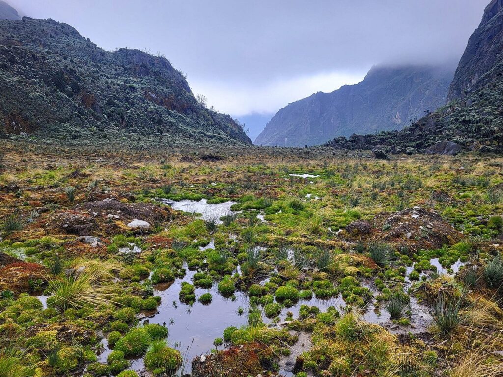 Does It Rain a Lot in the Rwenzori Mountains? Complete Trekker's Weather Guide