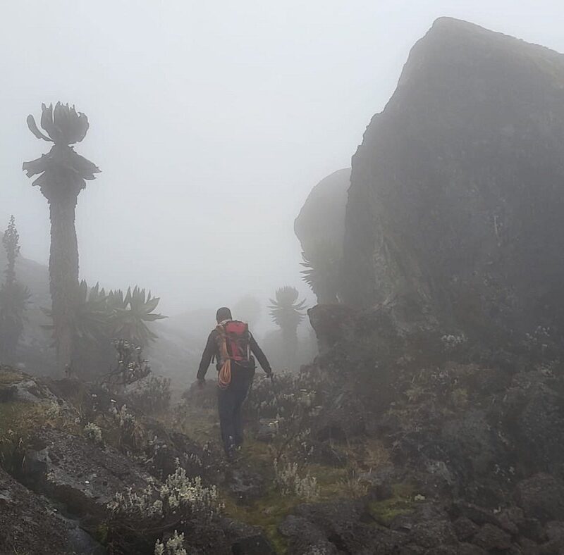 Can I trek the Rwenzori in the rainy season?