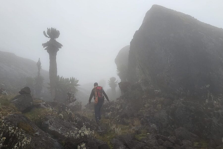 Can I trek the Rwenzori in the rainy season?