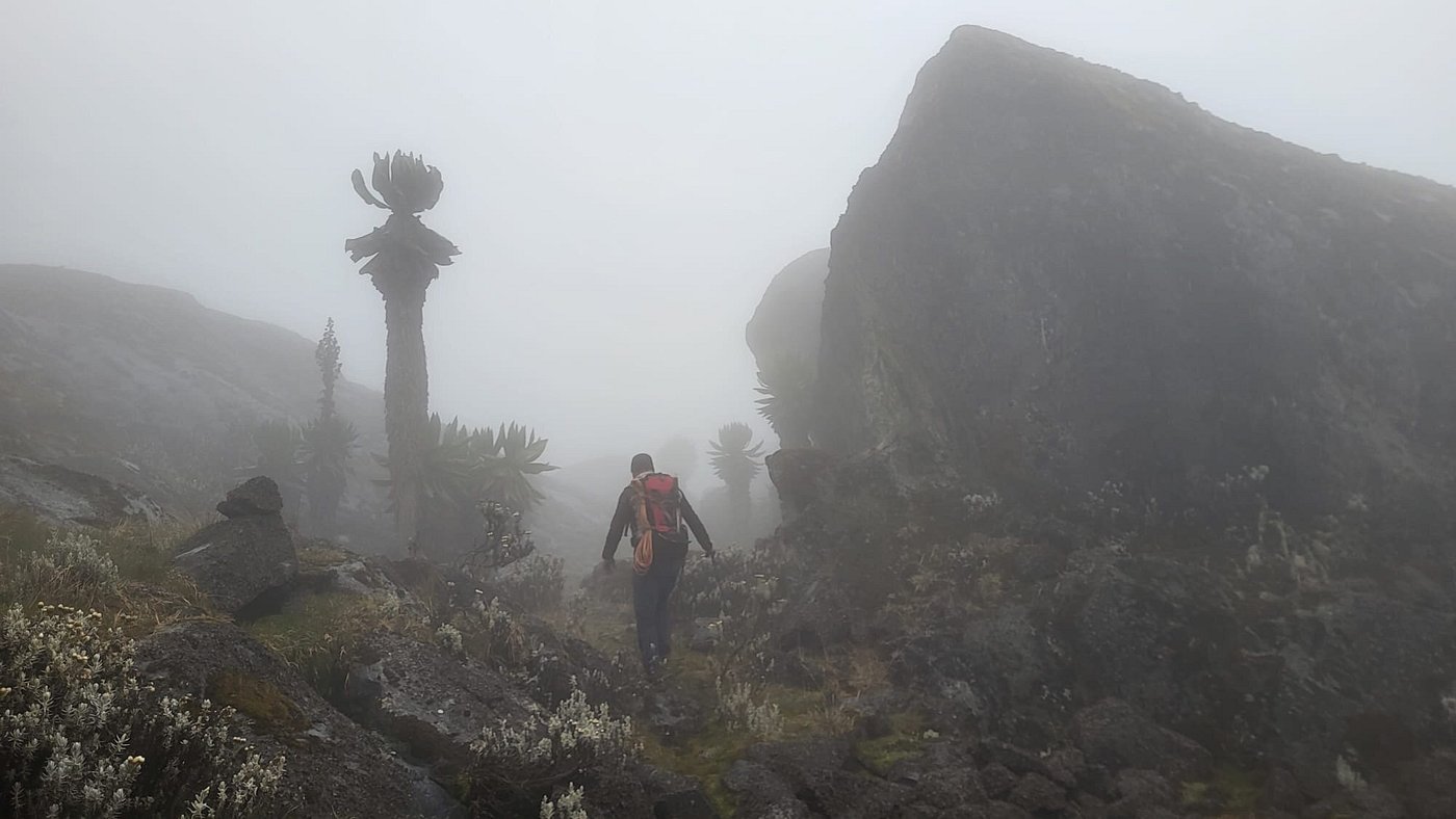 Can I trek the Rwenzori in the rainy season?